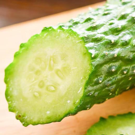 那云那南有机黄瓜 300g/份 商品图2