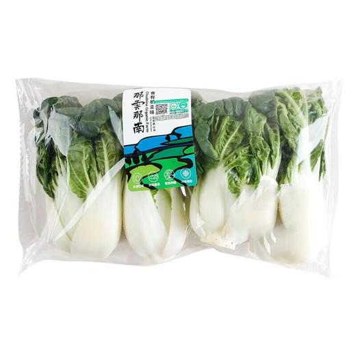 那云那南有机奶白菜 250g/份 商品图1