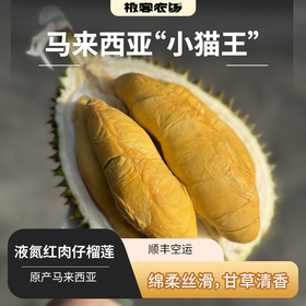 马来西亚液氮红肉仔榴莲丨马来西亚国民榴莲，入口有清甜香气，果肉绵柔丝滑，回味不像猫山王苦味而是带着一丝不易察觉的果酸⭐️顺丰快递