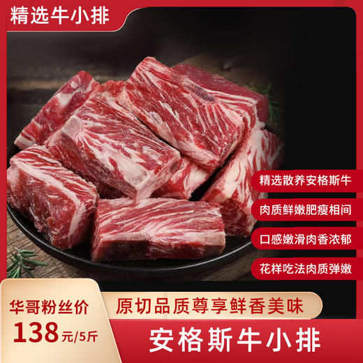 安格斯牛小排 5斤家庭超值装 段段精修 骨肉相连 商品图0
