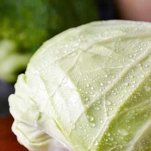 有机水果甘蓝 500g/份 商品图1