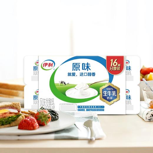伊利90g*16原味风味发酵乳 商品图1