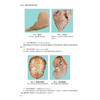 病理学实习指导 第3三版 十四五规划教材配套教材 全国高等学校配套教材 王医术 本科配教 临床医学 9787117388313 人民卫生出版社 商品缩略图4