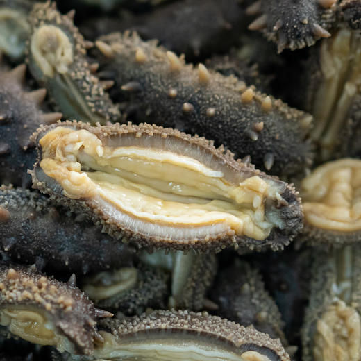 极客海参品鉴装（即食鲜参/干海参）丨鲜食高压海参，肉厚劲道自带鲜味丨独立包装，开袋即食，详情页里有我们对海参的认知，请一定阅读完。⭐️顺丰快递 商品图5