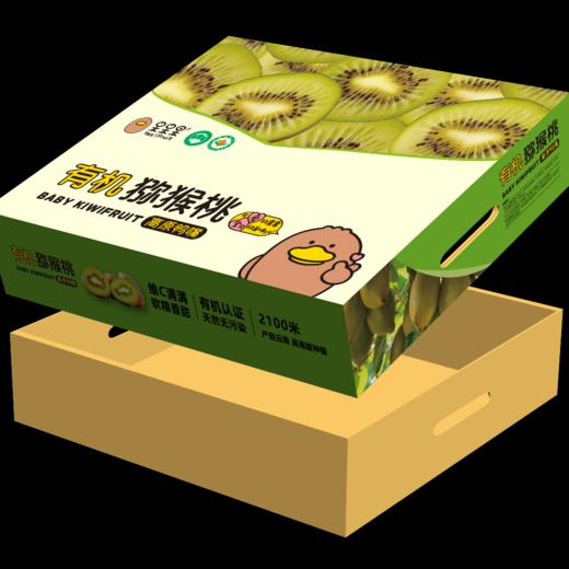 天赋高原有机猕猴桃  “猕”足珍贵，海拔给的底气 不打药不套袋 吃的就是自然 商品图5