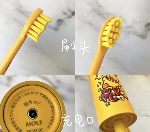 清仓无补❗️颜色随机发！成人小黄鸭电动牙刷送礼袋  26Y02001- 商品图11