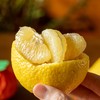 柠檬蜜橘|树上熟，自带柠檬香，脆甜无酸 商品缩略图5