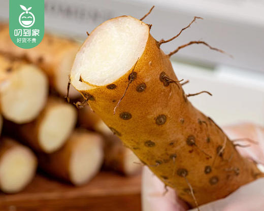 温县垆土铁棍山药（42-48cm）/1箱（2kg±100g） 商品图2