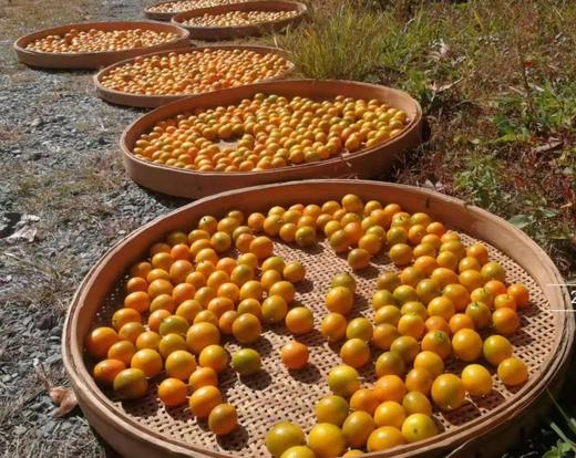 合作产品/   生态金桔 商品图9