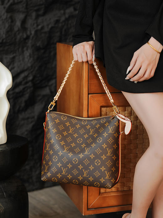 驴家 MULTIPASS 手袋  老花（JPH） 商品图5