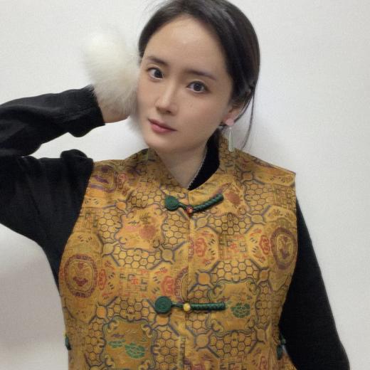 【咕咕同款】NANSONGSILK/NS新中式新款复古提花立领民族风百搭宽松马甲M1D539730X南宋 商品图9