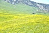2026【行走·伊赛牧道】5日徒步| 逃离城市，探索北疆草原风光 商品缩略图1