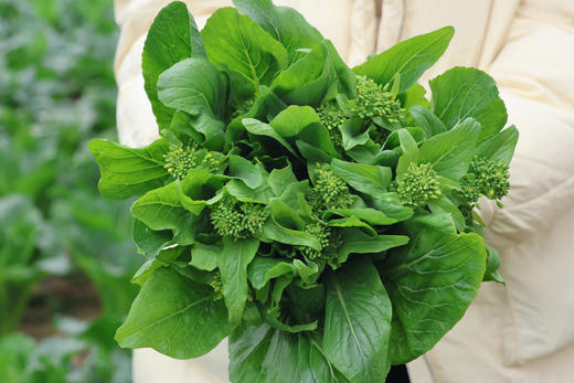 甜杆龙芽苔6斤装 商品图0