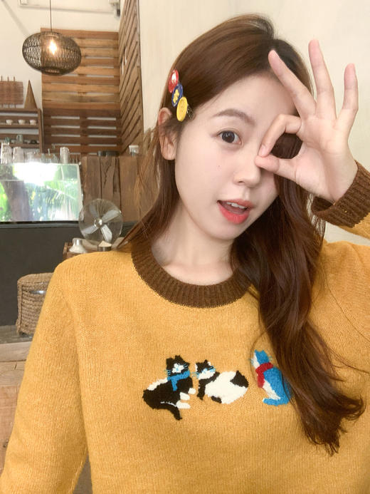 <曾小咸推荐> 2.18 现货秒杀 ！微信超特价！ 韩系刺绣小猫毛衣 日常199.99 立减110 秒杀89.99！！ 商品图8