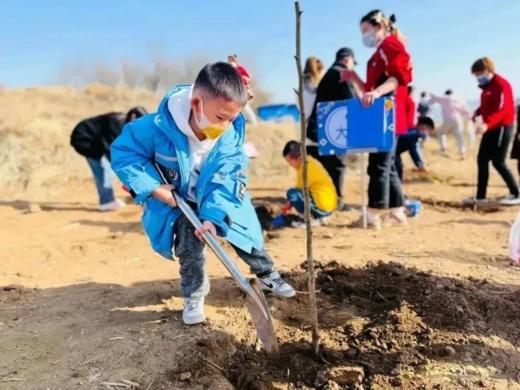 【2H时公益时长】北京亲子植树，地球小卫士——共植一棵小树、手工水培芽苗菜、传统沙土炒花生、春日枕头大战乐翻天 商品图0