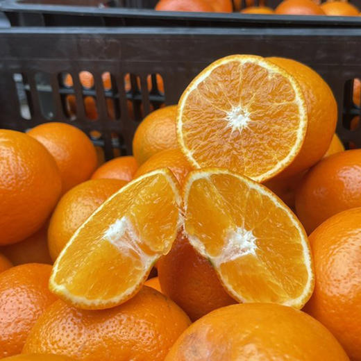 广西【沃柑】果肉细嫩饱满，甜蜜多汁，好剥皮，新鲜直达！ 商品图2