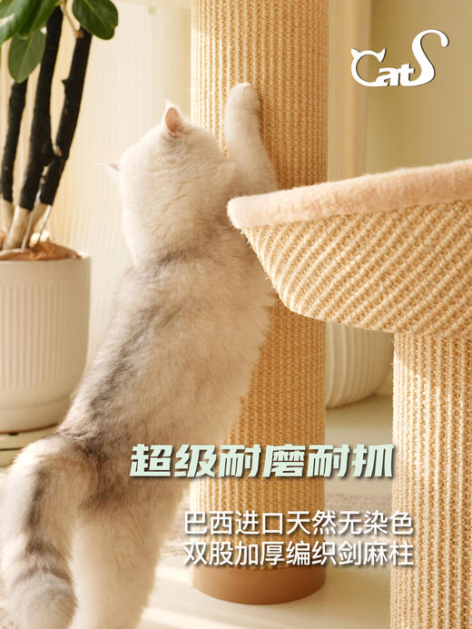 雏菊花栖爬架 超耐抓剑麻实木猫抓板大小体型猫通用 商品图1