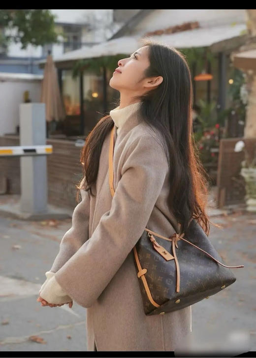 LV 老花 carryall 小号 斜挎包 商品图2