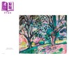 预售 【中商原版】Matisse: The Bigger Picture 进口艺术 马蒂斯作品集 含6幅大型折页画作+精美刷边 商品缩略图3