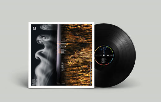 《无量》巫娜 古琴 五行频率身心疗愈 高维环绕能量声场 商品图5