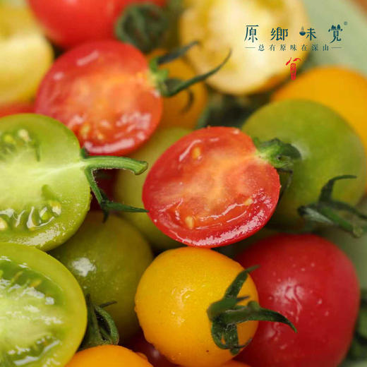 生态樱桃小番茄（基地直发-顺丰包邮）| 3斤/件，来自福建福州，生产者：魏长【合作生产，公平贸易】 商品图5