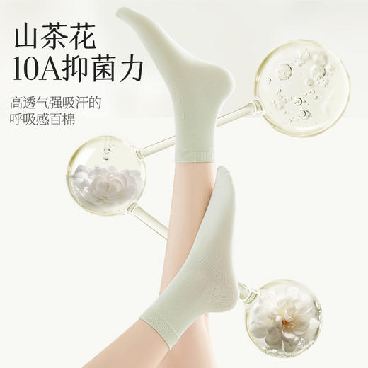 【6双中筒袜】拾袜记山茶花香氛袜礼盒  男款/女款 商品图5