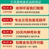 “兰花之乡”翁源精品国兰， 八款风雅品种， 兰花场直发，带盆发货，30天不活包赔【G】 商品缩略图11
