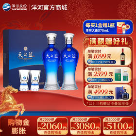 洋河 天之蓝礼盒 52度 480mL 双支装