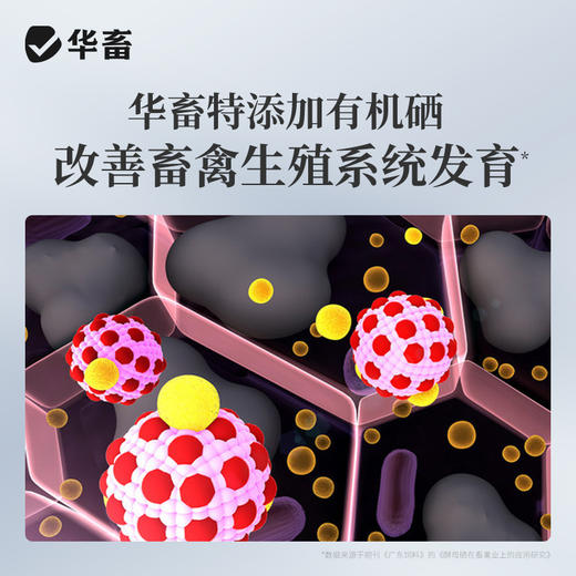 华畜兽用 酵母硒VE250g 维生素e饲料添加剂 特添加有机硒 提高发情率 增加产仔头数 商品图2