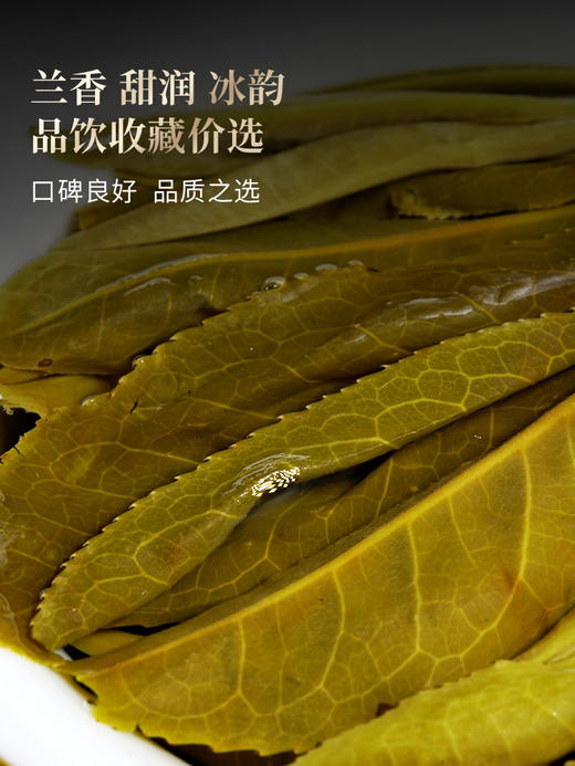 【最后20个名额】【重磅福利】【冰岛】2026年春茶预售升级款重磅震撼来袭 ! 开年就是冰岛味 ！冰岛老寨占比高达50%高额补贴引爆春茶预售！200克单饼卡盒装 拍5发6 拍20发25 商品图6