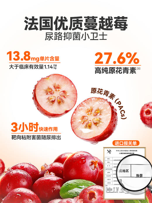 普安特蔓越莓泌尿片宠物猫咪狗通用尿道系统感染利尿通营养泌能粒 商品图4