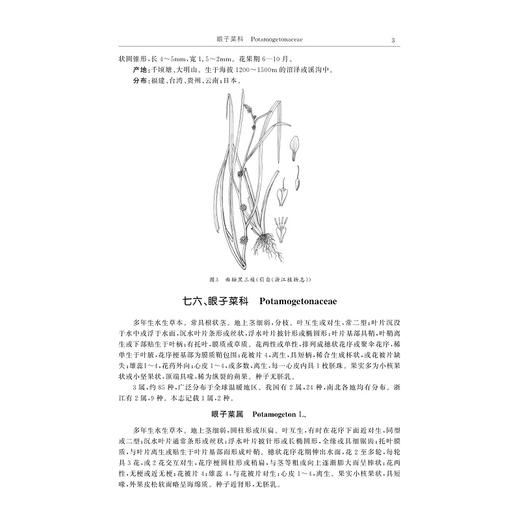 清凉峰草本植物志（第三卷）/金孝锋 程樟峰 徐跃良 主编/浙江大学出版社 商品图3
