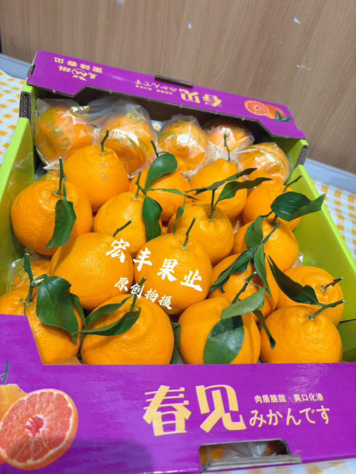 宏丰精选 春见耙耙柑，口感甜，肉质细嫩、味道浓郁，活动价6.98元一斤 商品图0
