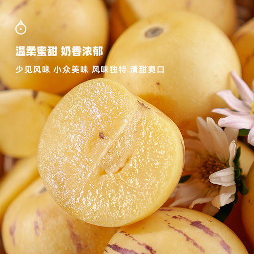 企鹅市集|云南金平 人参果 产地直发 清甜润口 果肉爽嫩多汁 多规格可选 商品图1