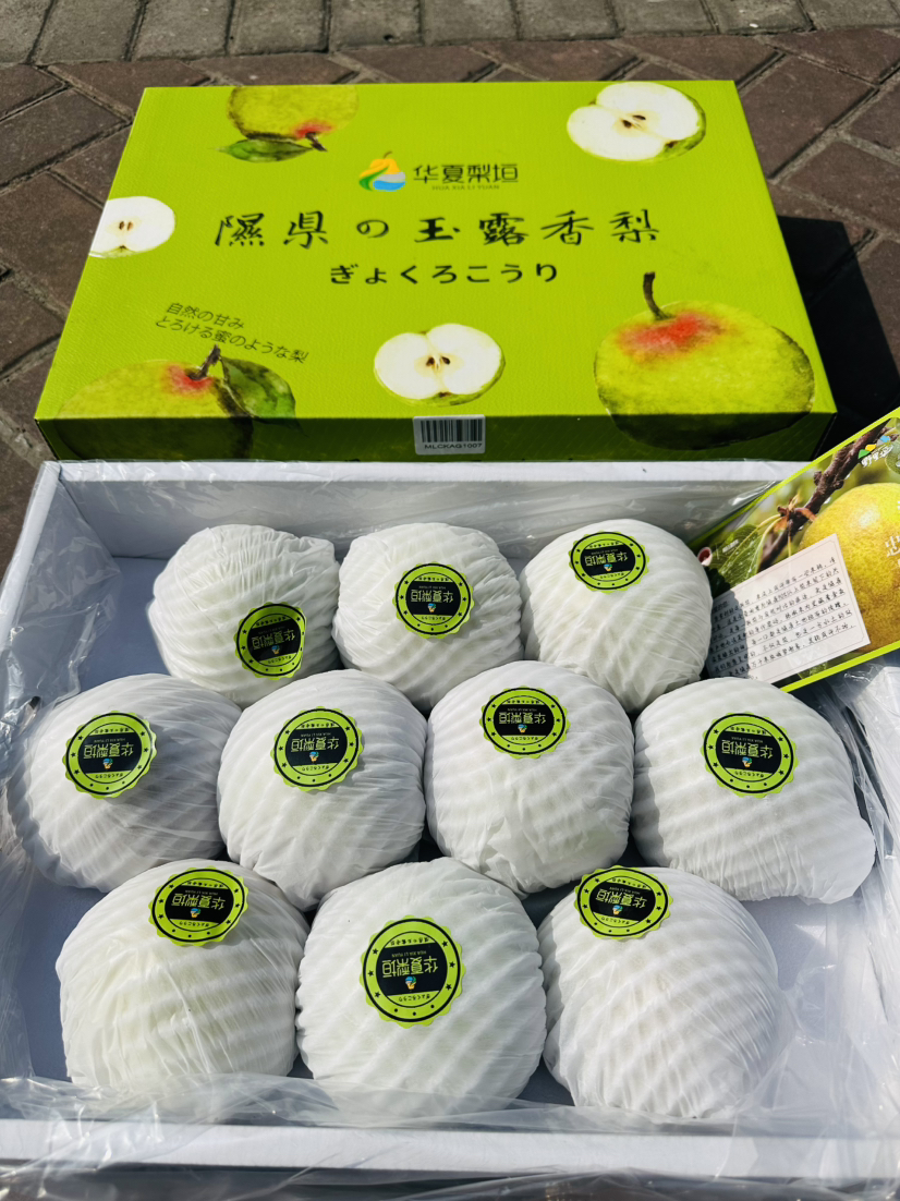 玉露梨香梨 礼盒10枚装大果