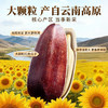 云南大颗粒红皮生瓜子250g 颗颗精选无坏果 粒大饱满 香脆新鲜 商品缩略图3