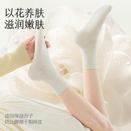 【6双中筒袜】拾袜记山茶花香氛袜礼盒  男款/女款 商品图2