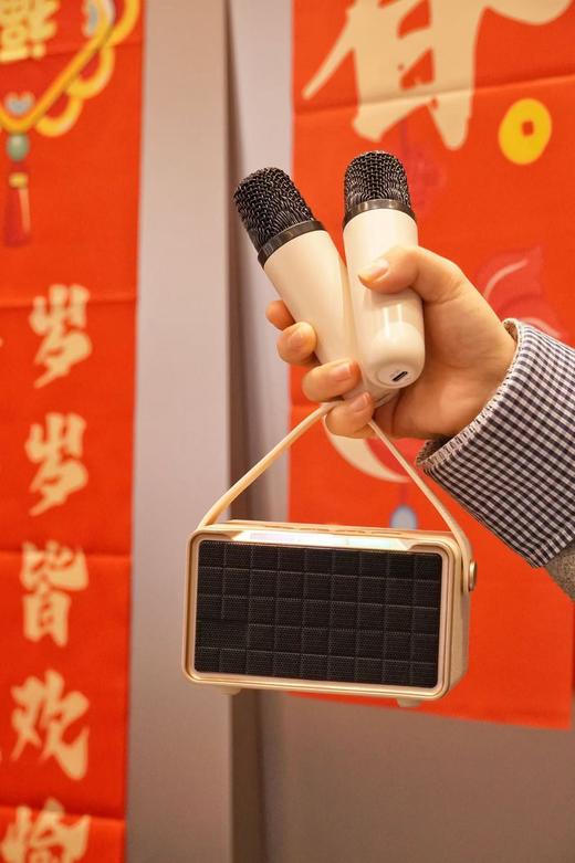 新年在家实现唱K自由，把团圆氛围直接嗨到天花板🎉【AURARO无线蓝牙音箱】小体积大音量🎵轻松实现居家KTV自由 🎤57M大尺寸全频喇叭，如临音乐现场的3D环绕音质 商品图1