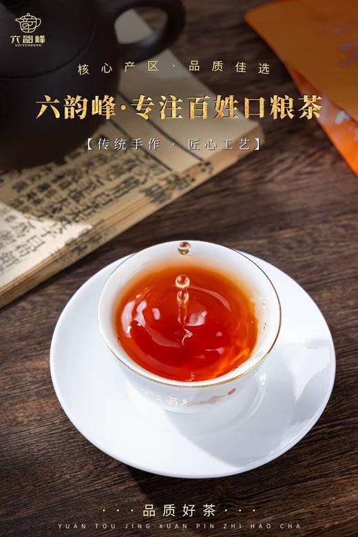 六韵峰正山小种48 240克/桶 商品图2