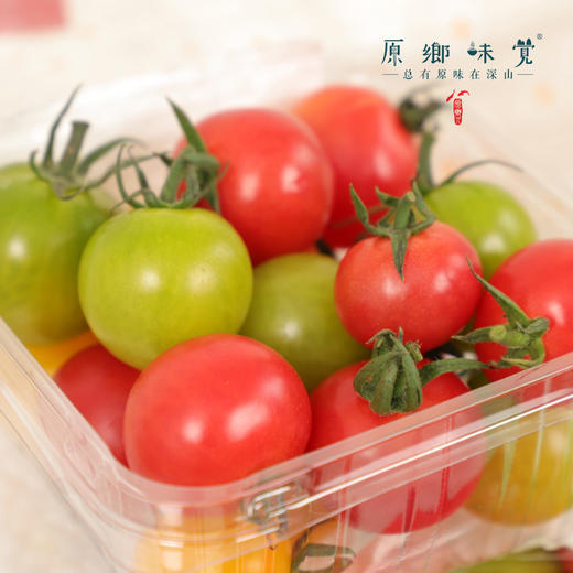 生态樱桃小番茄（基地直发-顺丰包邮）| 3斤/件，来自福建福州，生产者：魏长【合作生产，公平贸易】 商品图6