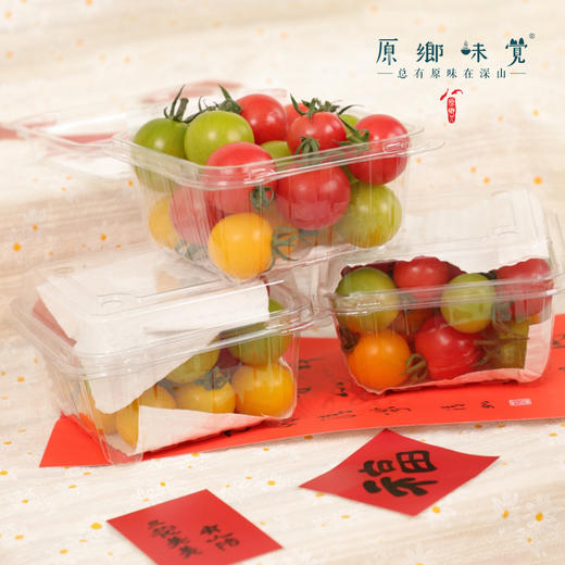 生态樱桃小番茄（基地直发-顺丰包邮）| 3斤/件，来自福建福州，生产者：魏长【合作生产，公平贸易】 商品图4