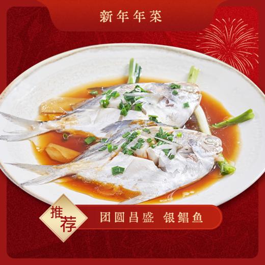 【团圆昌盛】流网银鲳鱼380g/4条  液氮速冻  鱼脸微红  鲜嫩紧实 商品图0