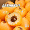 【米易枇杷】树熟枇杷皮薄肉厚鲜甜多汁 果型饱满色泽金黄 商品缩略图1