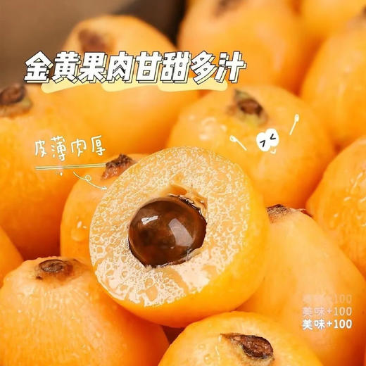 【米易枇杷】树熟枇杷皮薄肉厚鲜甜多汁 果型饱满色泽金黄 商品图1