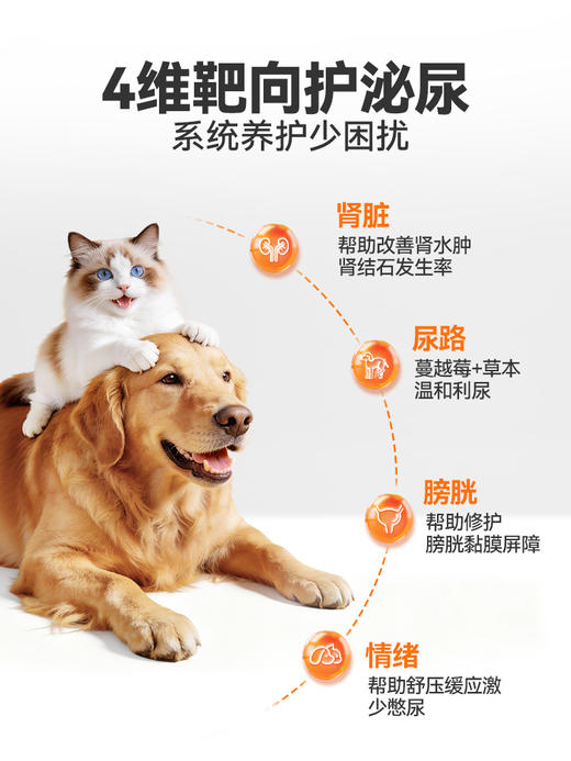 普安特蔓越莓泌尿片宠物猫咪狗通用尿道系统感染利尿通营养泌能粒 商品图1