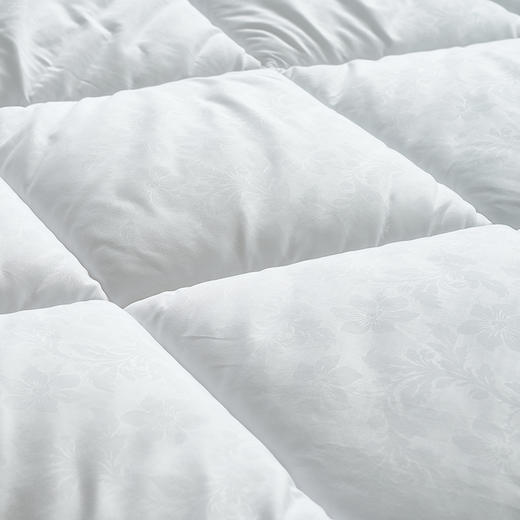 【6楼】富安娜云享冬厚被，牌牌价980元，活动价299元 商品图2