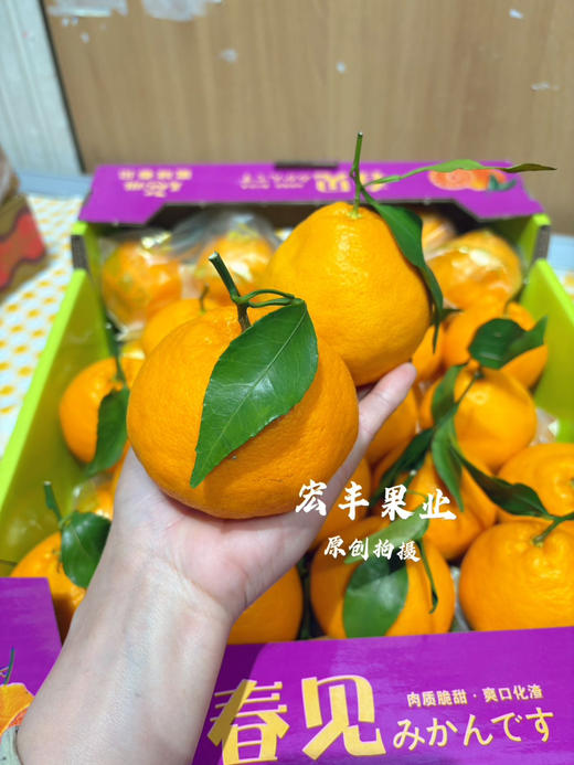 宏丰精选 春见耙耙柑，口感甜，肉质细嫩、味道浓郁，活动价6.98元一斤 商品图5