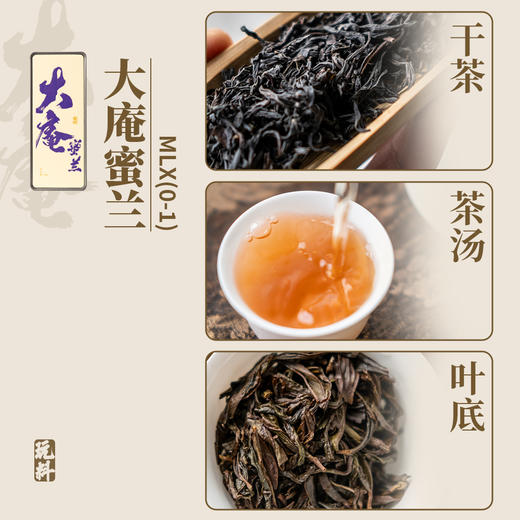 玩料家大庵蜜兰香/乌岽蜜兰香 商品图2