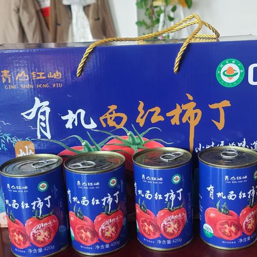 有机西红柿丁 番茄酱 配料只有新鲜西红柿 味道浓郁 炒菜火锅都可 省工省时 商品图8