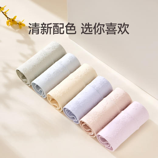 芬腾女士内裤10A级抗菌防螨棉质裆高腰棉质三角裤透气舒适短裤头 商品图4